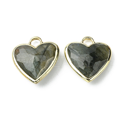 Natural Labradorite Pendants G-O204-01D-1