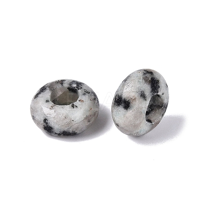 Natural Labradorite European Beads G-N359-17A-06-1