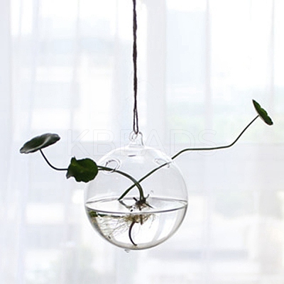 Hanging Glass Plants Planters PW-WG28732-08-1