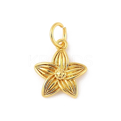 Brass Charms LS-KK-Z107-05G-02-1