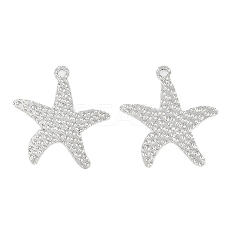 Non-Tarnish 304 Stainless Steel Pendants STAS-C106-04P-1