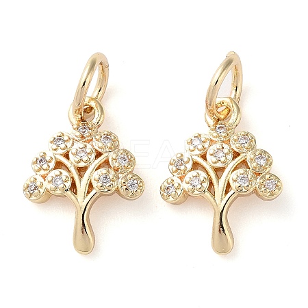Rack Plating Brass Micro Pave Clear Cubic Zirconia Charms X-KK-D097-05G-1