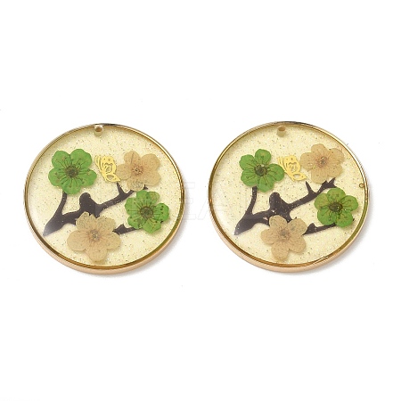 Plating Brass & Transparent Epoxy Resin & Dried Flower Pendants RE-CBAA153-06D-1