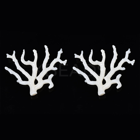 Acrylic Big Pendants OACR-N131-010B-B02-1