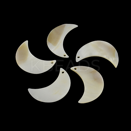 Moon Freshwater Shell Pendants SHEL-F001-12-1