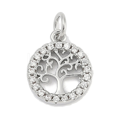 Brass Micro Pave Clear Cubic Zirconia Charms KK-G522-46P-1