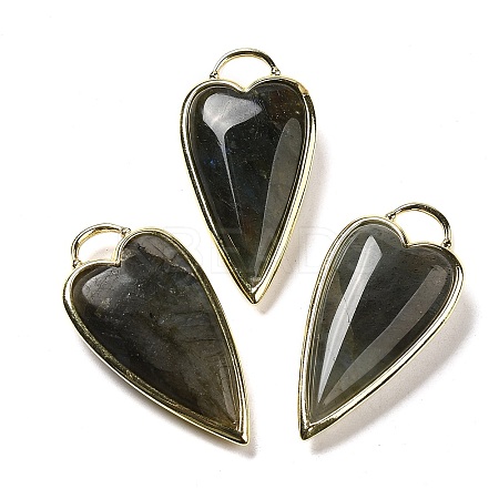 Natural Labradorite Pendants G-K347-01G-04-1
