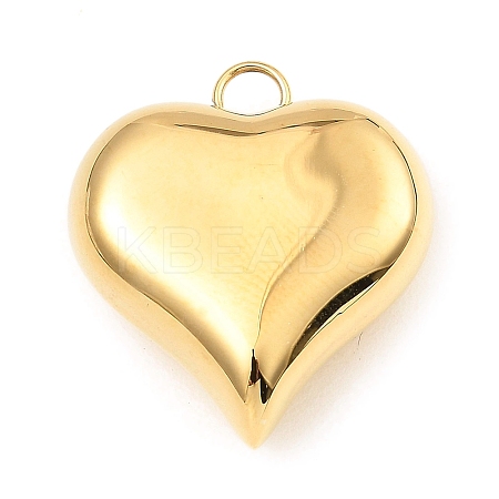 304 Stainless Steel Pendants LS-STAS-A089-01A-G-1