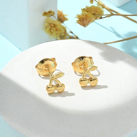 304 Stainless Steel Stud Earrings for Women STAS-Z117-14G-01-1