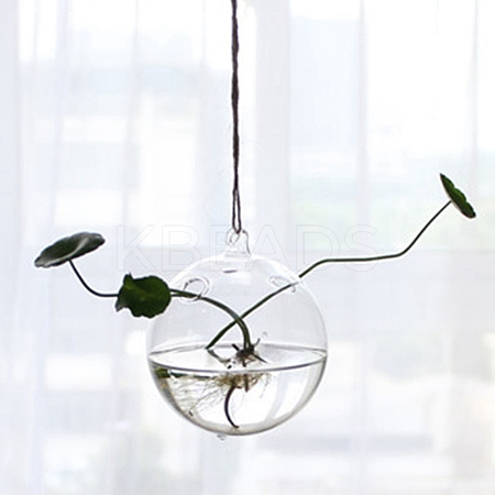 Hanging Glass Plants Planters PW-WG28732-08-1