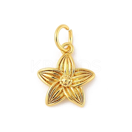 Brass Charms LS-KK-Z107-05G-02-1
