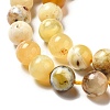 Natural Yellow Opal Beads Strands G-G992-A02-C-3