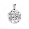 Non-Tarnish 304 Stainless Steel Pendants LS-STAS-P209-14P-1