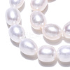 Natural Cultured Freshwater Pearl Beads Strands LS-PEAR-N012-06J-3
