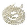 Frosted Transparent Glass Bead Strands GLAA-P065-10mm-01-5