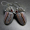 National Style Alloy Rhinestone Dangle Earrings FS-WGBC682-06-1
