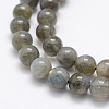 Natural Labradorite Beads Strands LS-G-P322-31-8mm-3