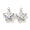304 Stainless Steel Cubic Zirconia Pendants STAS-L278-008P-1