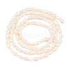 Natural Cultured Freshwater Pearl Beads Strands PEAR-D003-01D-01-3