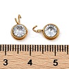 Ion Plating(IP) 304 Stainless Steel Micro Pave Cubic Zirconia Charms STAS-Z094-02G-10-3
