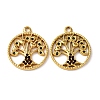 304 Stainless Steel Rhinestone Pendants X1-STAS-L299-07G-1