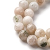 Natural White Moonstone Beads Strands LS-G-I388-01-8mm-4