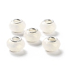Pearlized Resin European Beads RESI-M001-01H-1