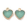 Resin with Golden Zinc Alloy Charms RESI-CJC0009-04D-1