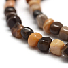 Natural Petrified Wood Beads Strands G-F465-20B-3