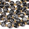 Natural Larvikite Beads Strands G-C116-A30-02-2