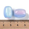 Triple Color Resin European Beads RESI-F055-13F-3