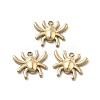 304 Stainless Steel Charms STAS-Z121-09G-1