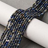 Natural Lapis Lazuli Beads Strands G-L629-B01-2mm-02-1