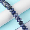 Natural Blue Spot Jasper Beads Strands G-F743-05B-2