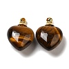 Natural Tiger Eye Perfume Bottle Pendants G-Z039-03G-05-1