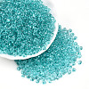 3/0 Baking Paint Glass Fringe Seed Beads SEED-A034-04H-3