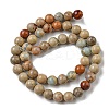 Natural Aqua Terra Jasper Beads Strands G-E444-14B-10mm-2