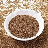 MIYUKI Round Rocailles Beads SEED-X0054-RR0345-2