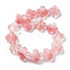 Cherry Quartz Glass Beads Strands G-P520-A05-01-3