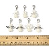 14Pcs 7 Styles ABS Plastic Imitation Pearl Pendant Decorations HJEW-FS00042-02-1-5