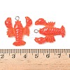 Resin Pendants RESI-F060-01A-3