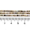 Natural Alashan Agate Beads Strands G-C181-B05-01-5