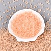 FGB Frosted Transparent Glass Seed Beads X-SEED-N013-05A-03-2