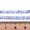 Natural Freshwater Shell Dyed Beads Strands SHEL-T020-29B-5
