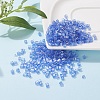 6/0 Glass Seed Beads SEED-YW0001-25G-6
