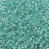 MIYUKI Delica Beads SEED-JP0008-DB0238-1