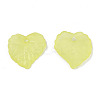 Transparent Acrylic Pendants TACR-S157-01A-3