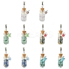 10Pcs 5 Color Alloy & Glass Bottle Pendants PALLOY-YW00057-1