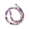Natural Amethyst Beads Strands G-P489-05-3