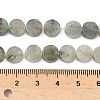 Natural Labradorite Beads Strands G-M454-B07-4